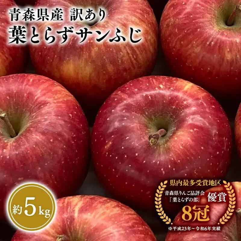 りんご 訳あり 葉とらずサンふじ  約5kg　[hi-0023-003]