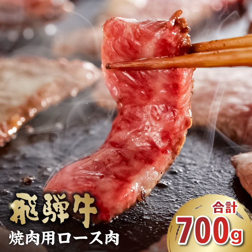 飛騨牛 焼肉用（ロース700g）【0016-049】