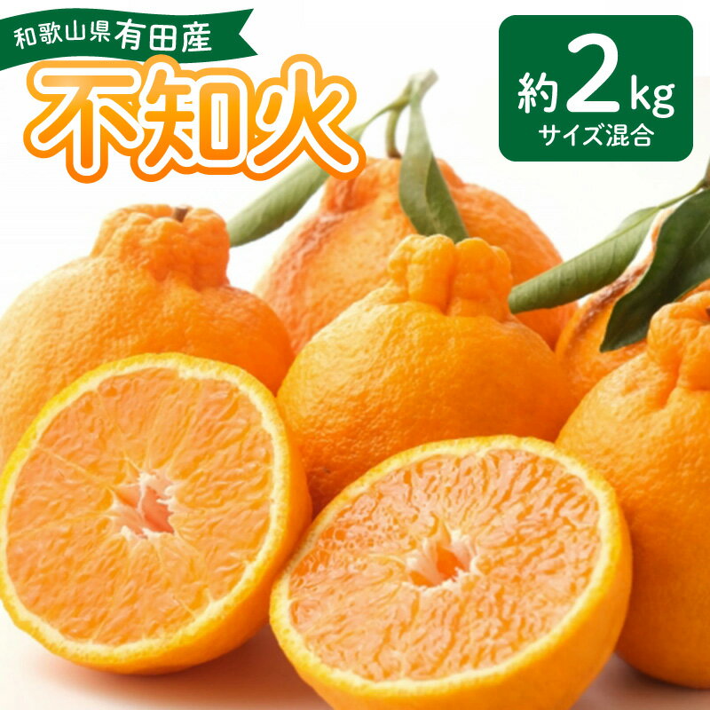 【ふるさと納税】【限定】 2027年先行予約 和歌山県 有田産 不知火 約 2kg【しらぬい 柑橘 みかん 和歌山 有田】