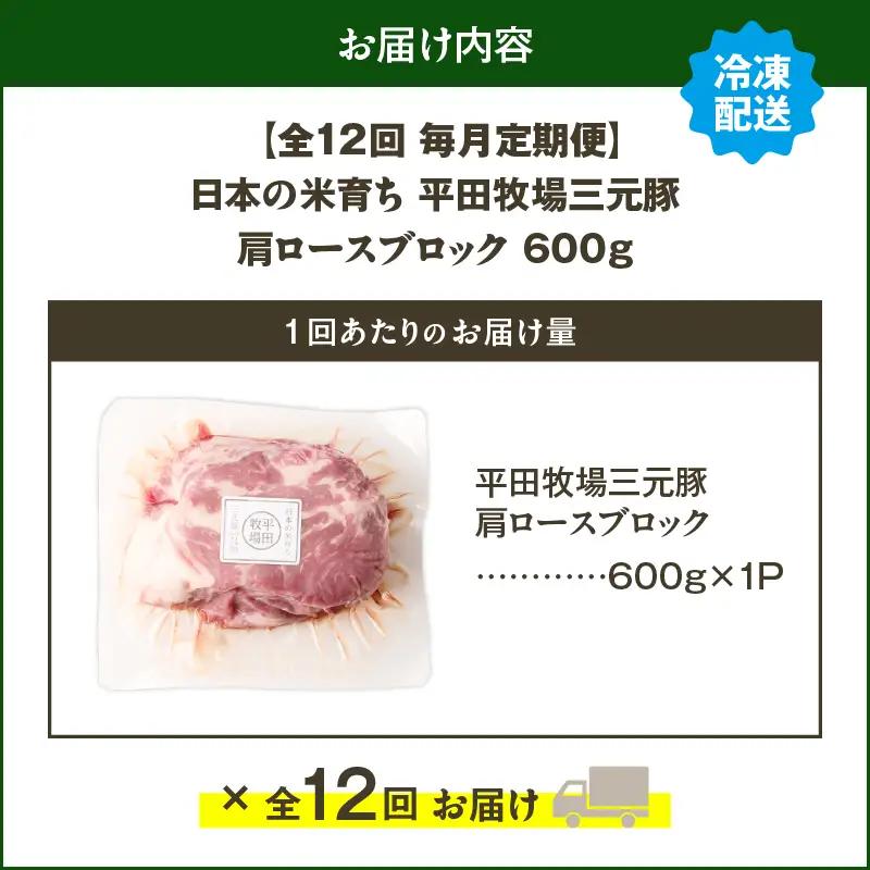 【 全12回 毎月 定期便 】 日本 の 米育ち 平田牧場 三元豚 肩ロース ブロック 600g T036-T10-03 肉 豚肉