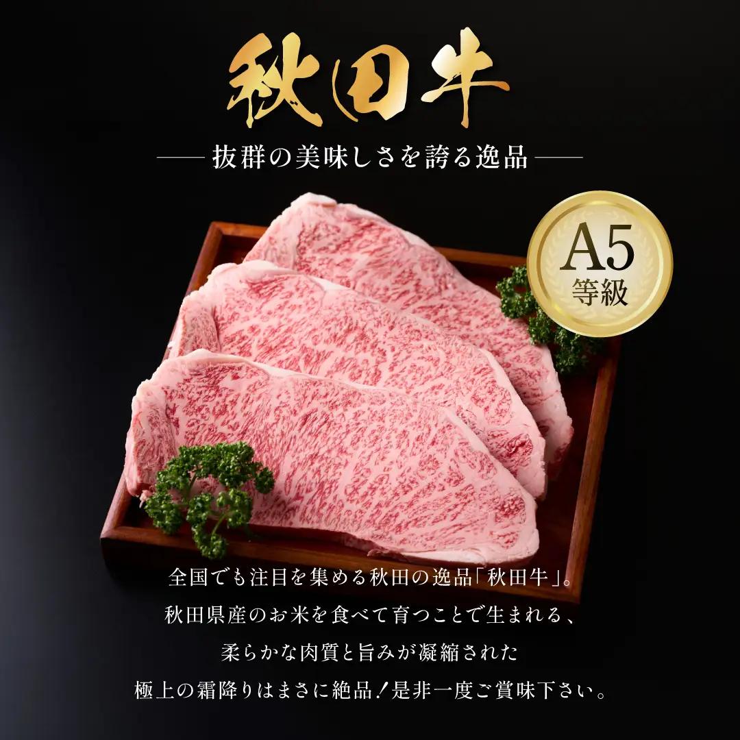 秋田牛 A5ランク サーロインステーキ 400g 【肉の高長】[H1-1601]