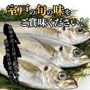 【高知県室戸市】 脂乗り抜群 アジ干物 3回定期便（鯵 あじ 8枚×3回 合計24枚） 室戸海洋深層水仕込み 国産 冷凍 魚介 海鮮 ギフト 酒の肴