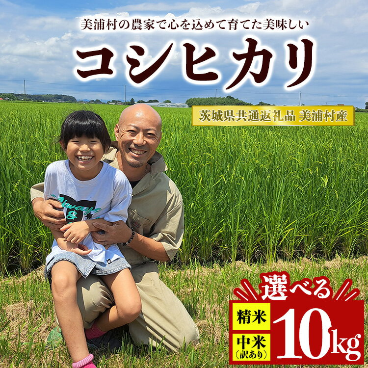【ふるさと納税】＼選べる種類／【令和7年産】コシヒカリ 精米 10kg【茨城県共通返礼品　美浦村産】｜ 中米 訳あり 規格外 こしひかり 白米 ※離島への配送不可