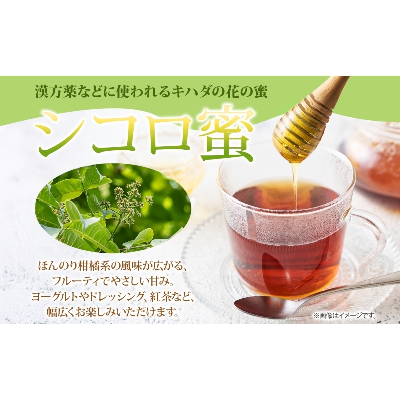 北海道 美深産 はちみつ 2種 そばはちみつ シコロはちみつ 各200g 蕎麦蜜 蕎麦 蕎麦はちみつ ソバはちみつ 生 しころはちみつ シコロ蜜 国産 生はちみつ 無濾過 非加熱 無加糖 鉄分 ポリフ