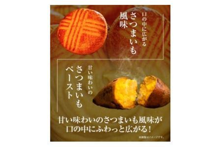 芋 さつまいも さつまいものガレットブルトンヌ 3枚入×3袋 株式会社純八商店《30日以内に出荷予定(土日祝除く)》ギフト 送料無料 サツマイモ クッキー 三重県 東員町 お菓子 おやつ|さつまいもス