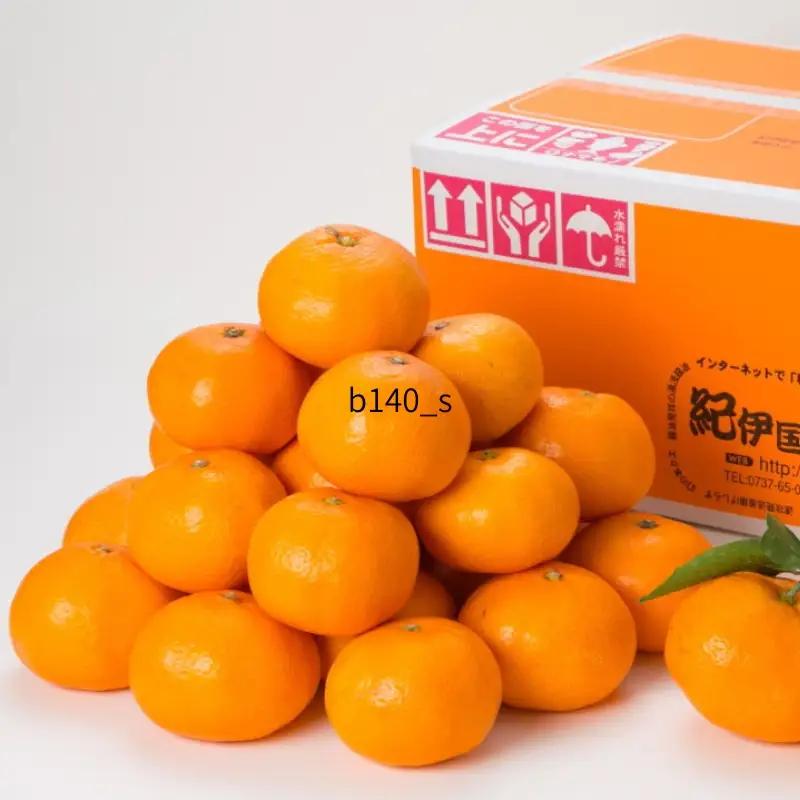 【予約受付】ブランド有田みかん　秀品5キロ/サイズお任せ　※2026年10月中旬～2027年1月中旬頃に順次発送予定（お届け日指定不可）　紀伊国屋文左衛門本舗【sgtb140C】