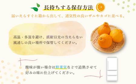 不知火 先行予約 冨田さん家の不知火 ハウス栽培 5kg しらぬい みかん 蜜柑 柑橘 常温 熊本県産 国産 九州 熊本県 宇城市 訳あり 家庭用 不揃い デコなし 傷あり B級品 SDGs 2026