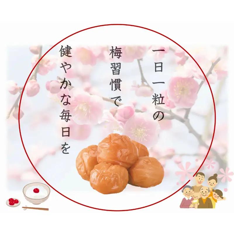 紀州南高梅 プレミアム 塩分約3％ 850g ［YM12m］【yamada011A】
