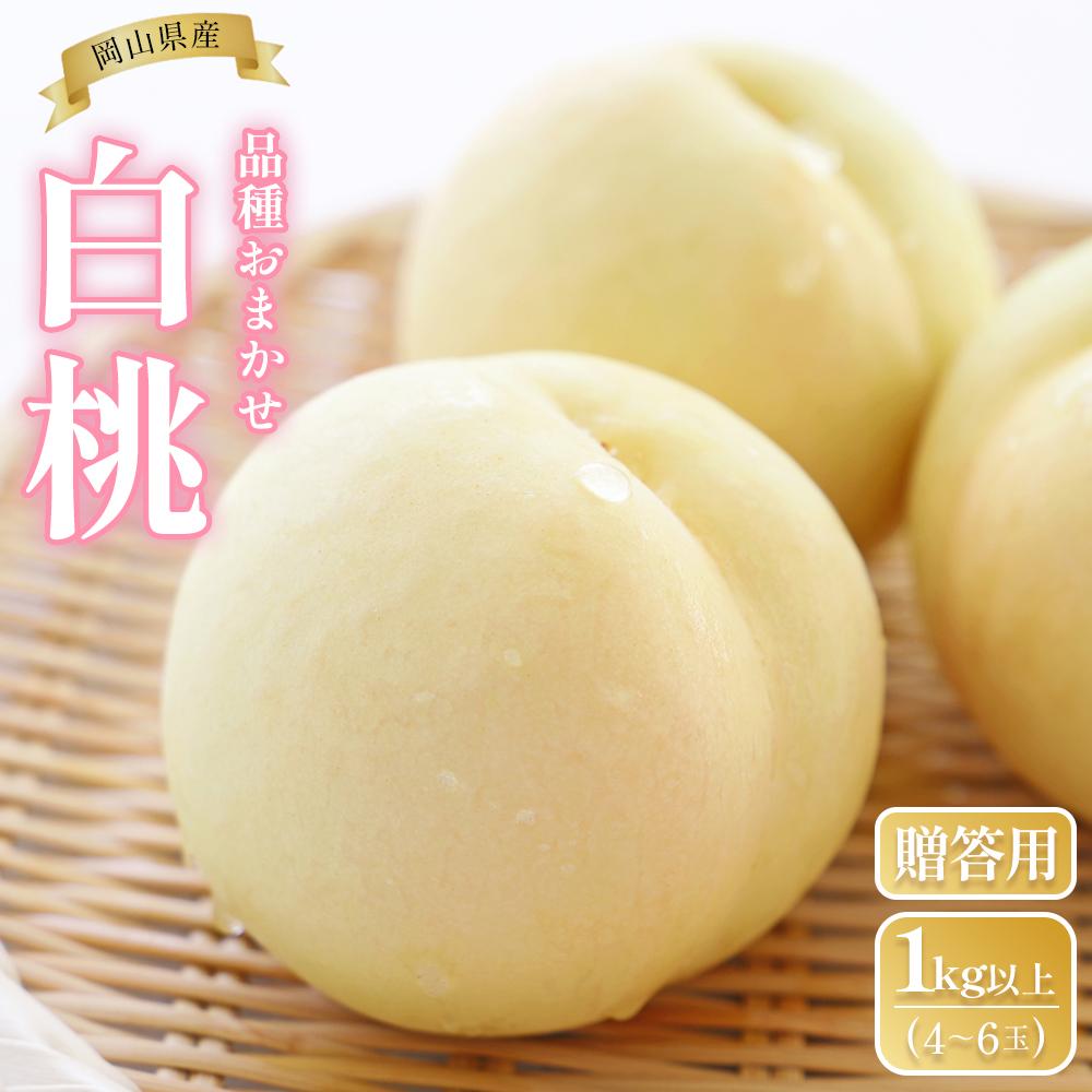 【ふるさと納税】桃 2025年 先行予約 岡山県産 贈答用 白桃 1kg以上（4～6玉） 品種おまかせ＜6月下旬以降発送＞