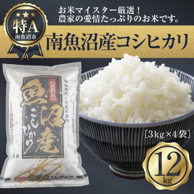ふるさと納税 南魚沼市 新潟県 南魚沼産 コシヒカリ お米 3kg×4袋12kg 精米済み(お米の美味しい炊き方ガイド付き)