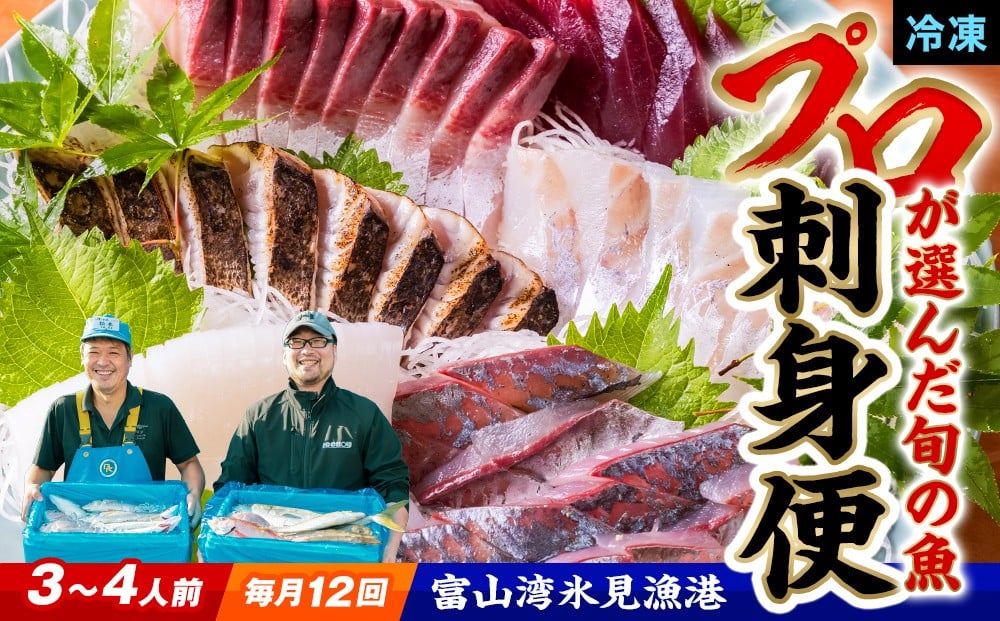 
            【毎月お届け 全１２回 定期便】 魚問屋直送！氷見漁港で競り落としたお刺身詰め合わせセット 〈冷凍〉
          