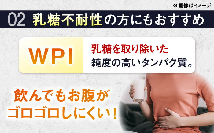 【ふるさと納税限定】ALPRON PRO WPI プロテイン 2種セット(プレーン・ダブルリッチチョコレート風味)各900g 筋トレ 健康 シンプル 島根県雲南市/株式会社アルプロン [AIAL107