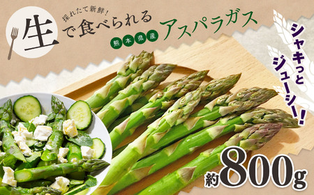 生で食べれる !! アスパラガス （ グリーン ）約 800g | 新鮮 アスパラ 野菜 ソムリエ 健康 熊本県産 熊本 玉名