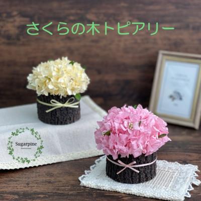 ふるさと納税 春日部市 プリザーブドフラワーアレンジ【さくらの木】春日部市 シュガーパイン |  | 02