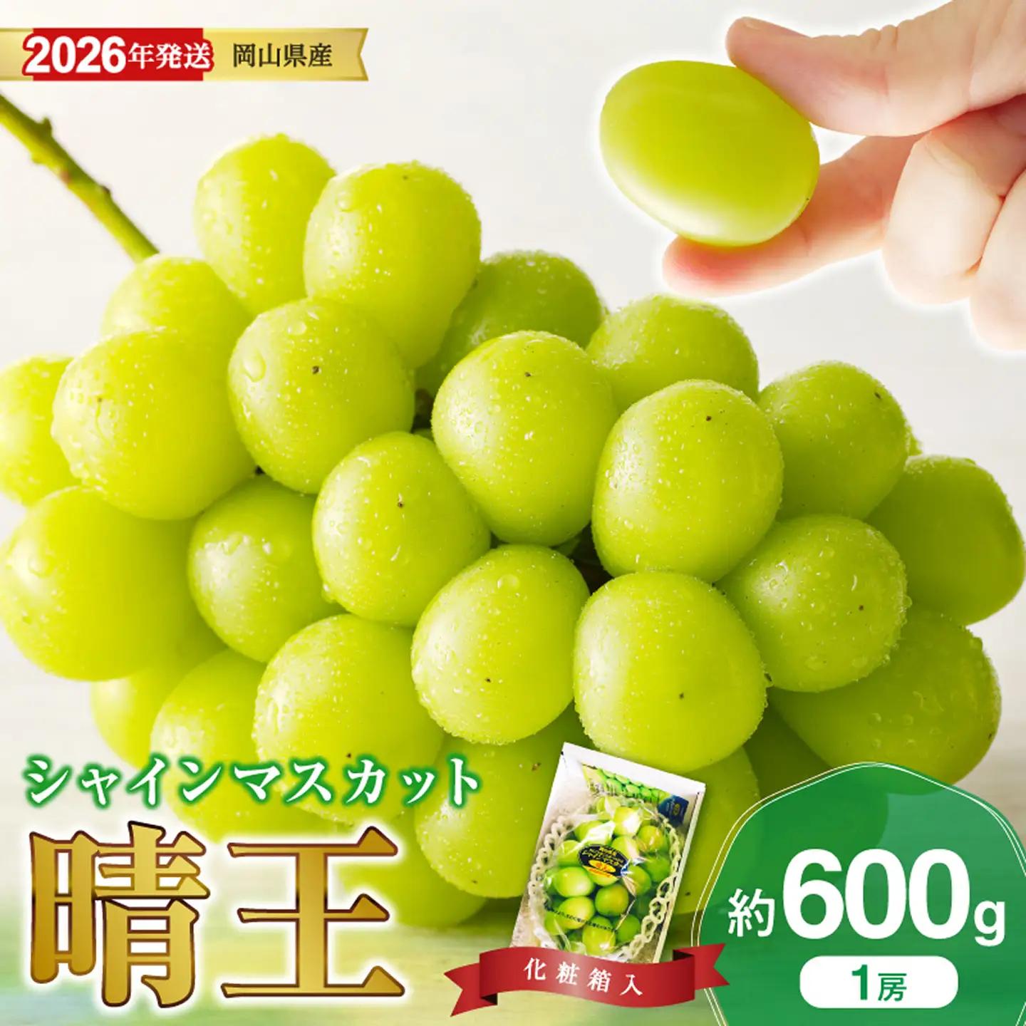 【ふるなびWEEK対象】岡山県産シャインマスカット「晴王」 秀品 1房（約600g）【シャインマスカット】
