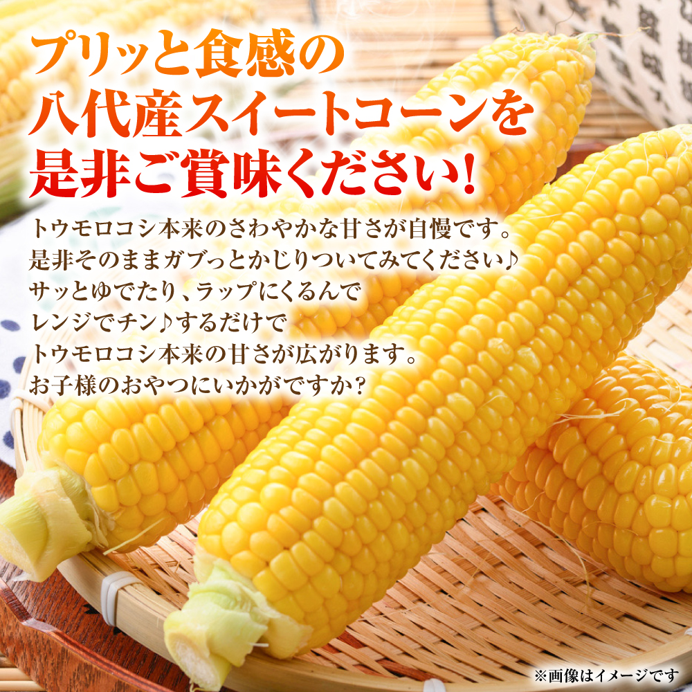 【先行予約】プリッとジューシー！ 熊本県 八代市産 スイートコーン ゴールドラッシュ 約4.5kg (13～16本) とうもろこし トウモロコシ コーン 甘い 【2026年6月上旬より順次発送】_イメ