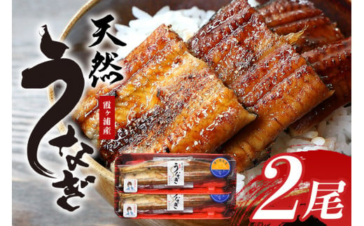 【数量限定・先行予約開始】 霞ヶ浦産天然うなぎ 蒲焼き 2尾（100～130g×2） 国産 天然 真空パック 真空 パック たれ タレ 冷凍 茨城県産 かば焼き 蒲焼 国産うなぎ 国産ウナギ 国産鰻 国産天然うなぎ 国産天然ウナギ 国産天然鰻 内祝い ギフト プレゼント お祝い ご褒美 土用の丑の日 おいしい 簡単 霞ケ浦 49-B