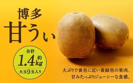 福岡県産 博多甘うぃ 約1.4kg（大玉9玉入り）【2026年10月下旬～11月下旬発送予定】キウイ キウイフルーツ フルーツ 果物 くだもの 先行予約
