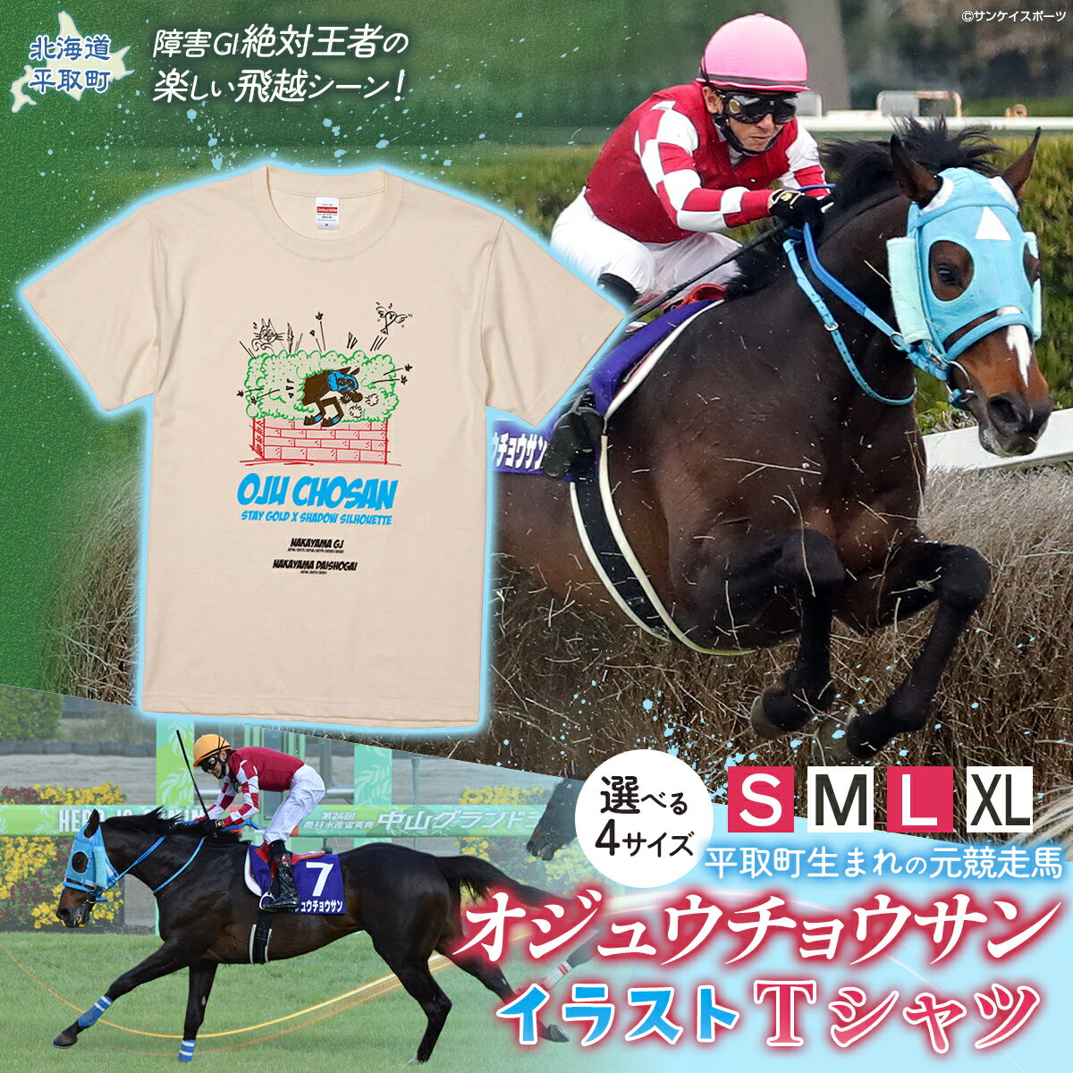 【ふるさと納税】【オジュウチョウサン】イラストTシャツ【 ふるさと納税 人気 おすすめ ランキング 馬 競馬 競走馬 引退馬 オジュウチョウサン 北海道 平取町 送料無料】 BRTV005