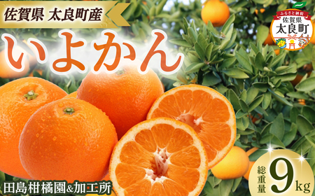 田島柑橘園&加工所のいよかん9kg　みかん 伊予柑 完熟 果物 フルーツ ビタミン 佐賀県 太良町 OA17