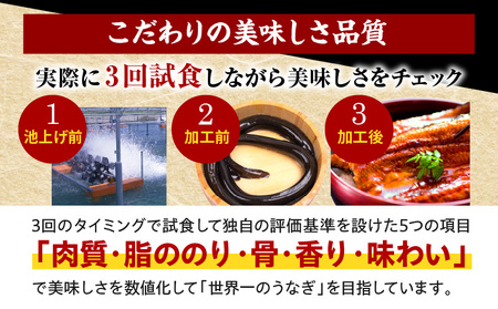 うなぎ 蒲焼 6尾 うなぎ 鰻 九州産 国産
