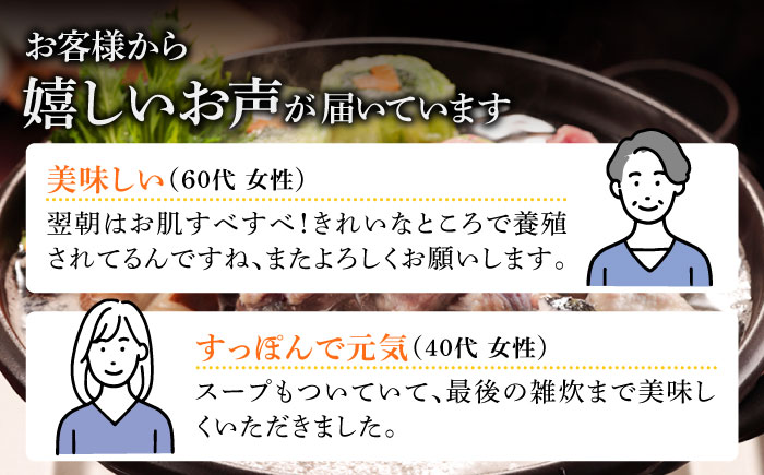 【全3回定期便】すっぽん鍋セット 3人前【丸隆すっぽん養殖場】 [PBL005]