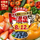 【ふるさと納税】《定期便》 旬の野菜 フルーツ 詰め合わせ 8品～12品 12回 セット 旬 野菜ソムリエ 厳選 ド満足 野菜セット 1年 フルーツ メロン いちご トマト アスパラガス トウモロコシ 玉ねぎ 国産 人気 ランキング やさい 野菜 果物 田原市 定番 8品目 12品目 楽天限定