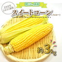 【ふるさと納税】 スイートコーン とうもろこし フルーツ 野菜 約 3kg 朝どれ 国産 香川県