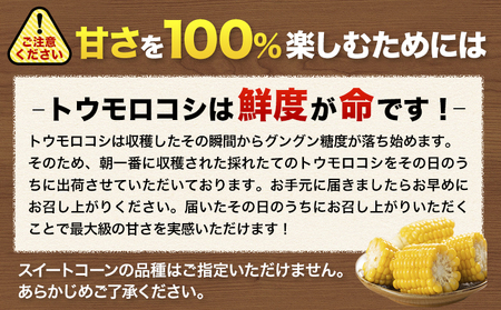 とうもろこし 15本｜とうもろこしとうもろこしとうもろこし ゴールドラッシュ
