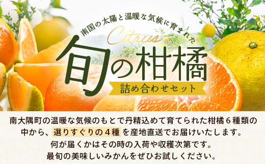 【数量限定】おたのしみ！旬の柑橘詰め合わせセット(４種約５kg) NK-4｜果物 柑橘 大将季 ぽんかん スイートスプリング 津之輝 麗江 サワーポメロ 南大隅町 産地直送 詰め合わせ 5kg 国産 