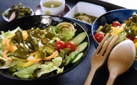 食品サンプル作り (4個) 体験券×2枚 / 食品サンプル 体験 思い出 小浜市 / 小浜市経営企画部御食国ブランド戦略課[BFBJ003]