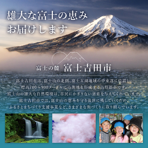 定期便 【12回お届け】富士吉田 スイーツまるごと定期便 スイーツ詰め合わせ