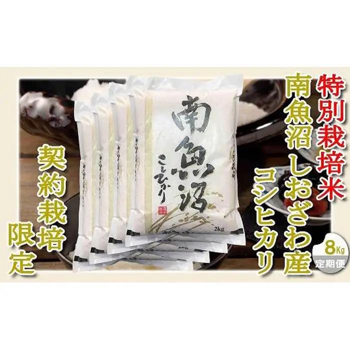 【令和7年産】【定期配送８Kg×６ヶ月】特別栽培 生産者限定  南魚沼しおざわ産コシヒカリ【定期便 銘柄米 ブランド米 精米 こしひかり コシヒカリ 魚沼産 新潟米 産地直送 お米 米 こめ コメ ご飯 御飯 ごはん】
