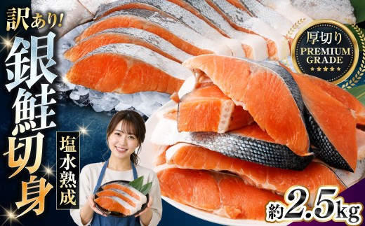 【 訳あり 】 プレミアムグレード 塩水熟成 厚切り 銀鮭切身 約2.5kg 【2026年11月発送】銀鮭 鮭 サケ さけ シャケ 魚介 魚介類 魚 魚類 海鮮 おかず 晩酌 小分け 冷凍