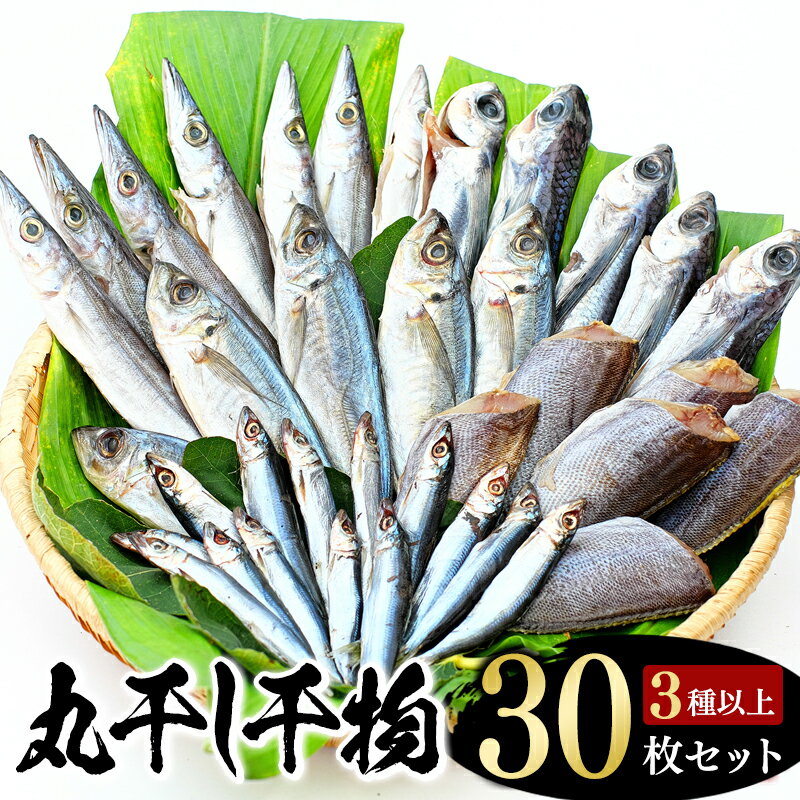 【ふるさと納税】【丸干し 干物セット】たっぷり30点以上！定番干物3種30枚セット 干物 ひもの セット 和歌山 家庭用