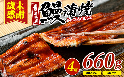 ＼2025年12月21日までのご入金で年内発送／【歳末感謝】【鹿児島県産】 鰻の蒲焼(無頭背開き)約165g×4尾(山中水産/033-1066) うなぎ 国産 鹿児島 蒲焼 丑の日 丑 土用丑の日
