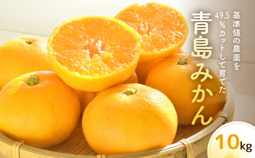 
                  青島みかん（10kg）※12月中旬～下旬発送 | 湯河原町 果実 旬 柑橘 フルーツ
                