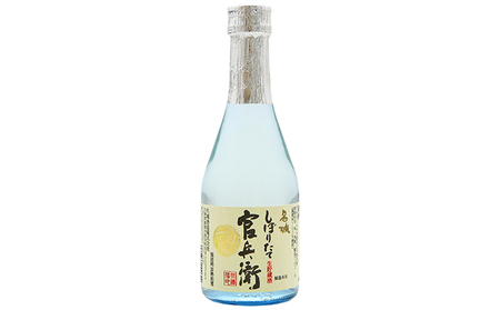 日本酒  6種 300ml 12本 飲み比べ 日本酒