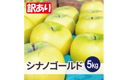 ＜26年5月より順次発送＞平均糖度13度以上! シナノゴールド 約5kg 訳あり  クール便【1610038】