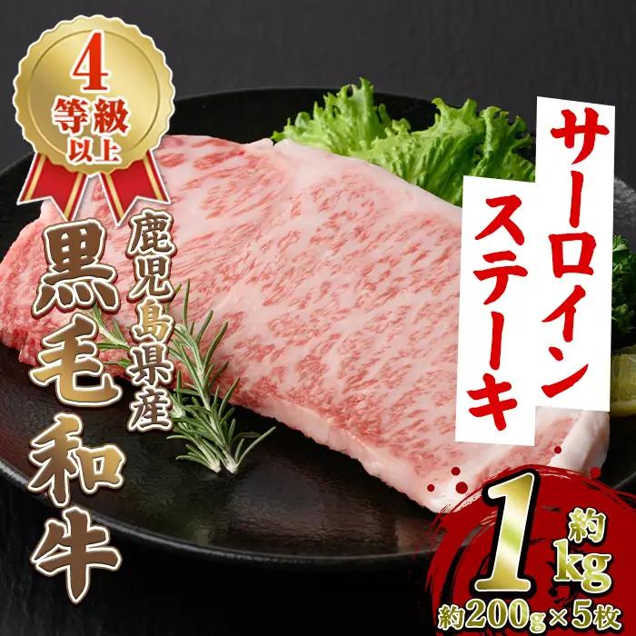 鹿児島県産 黒毛和牛 4等級以上 サーロイン ステーキ (約1kg・約200g×5枚) 国産 牛肉 サーロイン ステーキ 4等級 バーベキュー BBQ おかず 冷凍 ステーキ肉 お肉 大判 個包装 【スターゼン】akn042-71