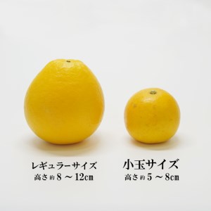 訳あり 小玉 美生柑 約7kg 河内晩柑 かわちばんかん 柑橘 愛媛 愛南 マルエム直販