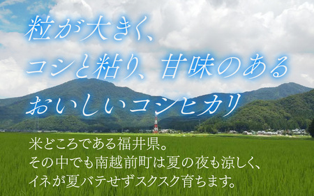 【先行予約】令和7年度産 新米 特別栽培米 コシヒカリ 4kg【11月上旬より順次発送】
