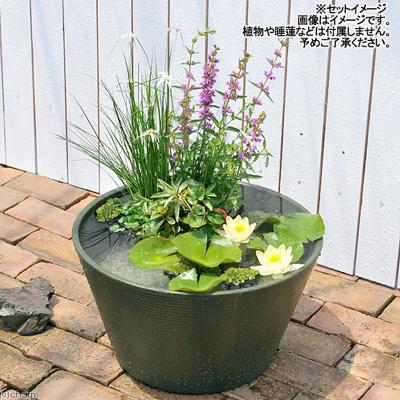 ふるさと納税 邑楽町 睡蓮鉢 メダカ鉢 金魚鉢 直径44cm 高さ25cm 軽量2kg|09_chm-cs0101c |  | 02