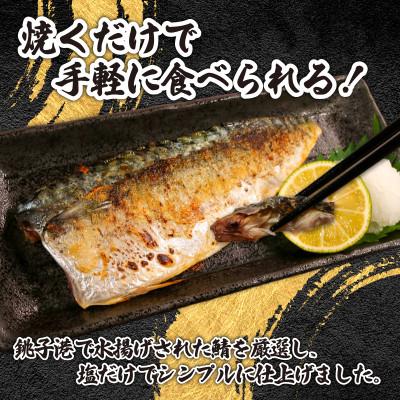 ふるさと納税 銚子市 銚子産　塩さばフィレ　5kg |  | 01