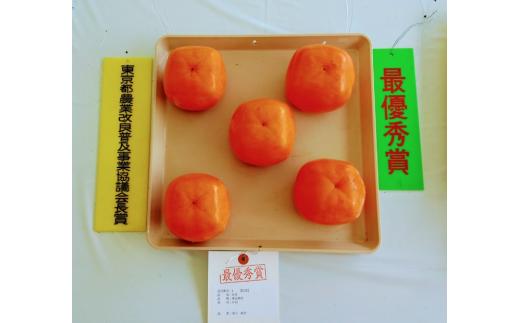 「市川さんの柿」東京御所１０ｋｇ