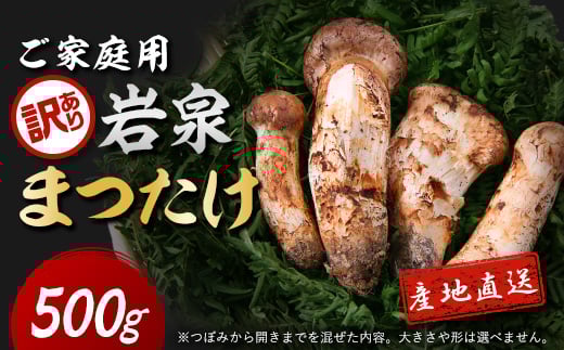 
            ＜訳あり＞ご家庭用 岩泉まつたけ 直送 500g【1423397】
          
