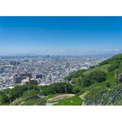 ふるさと納税 柏原市 柏原醸造ワイン(赤白辛口)6本セット　 |  | 01