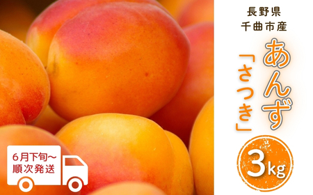 【2026年先行予約】あんず さつき(長野県オリジナル品種) 約3kg |あんず 千曲市産 長野県 信州