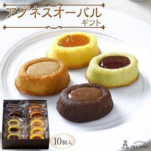 アグネスオーバルギフト 4種（10個）フランス菓子 焼き菓子