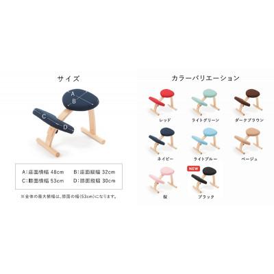 ふるさと納税 美濃市 バランス イージー ショートフレーム(カバー付き)バランスチェア 学習椅子 日本製 [ブラック] |  | 03